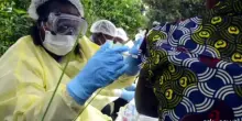 Virus ebola in Africa, Oms: emergenza sanitaria internazionale