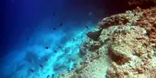 Ritrovati i corpi dei 4 sub italiani morti alle Maldive