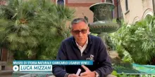 Delfino in laguna a Venezia: "Osservare con rispetto e discrezione"