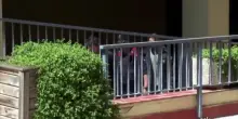 Il figlio del fondatore di Mango arrestato per la morte del padre