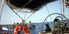 Flotilla: "Forze Israele aprono il fuoco", il video: 'Non sparate!'