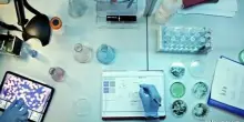 Angelini Pharma presenta i risultati del progetto LIFE-GREENAPI