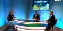 Energia, Argiro': "Necessari supervisione nazionale e strategia europea"