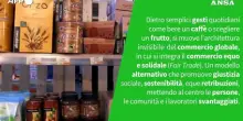 Ansa VERIFIED - Acquistare prodotti del commercio equo aiuta i lavoratori dei paesi del Sud del Mondo?