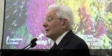 Mattarella: "Serve maggiore consapevolezza e impegno per tutela dell'ambiente"
