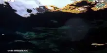 Greenpeace negli abissi artici, missione nel 'Banana Hole'