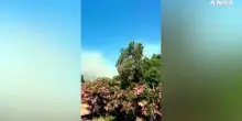 Vasto rogo nel Cagliaritano, due elicotteri in volo e case evacuate
