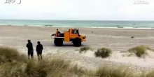 Danimarca, la carcassa della megattera Timmy trascinata a riva sull'isola di Anholt