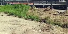 Fuggono a un posto di blocco e si schiantano, muore un 16enne