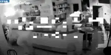 Il ladro mentre fa razzia all'interno del bar di via Bentini