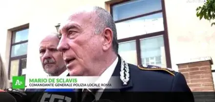 Cavalli in fuga a Roma, "i vigili coinvolti saranno esclusi dai servizi operativi"