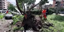 Tornado si abbatte su Roma, strage di alberi e veicoli