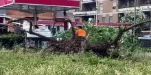 Roma nord-est, tromba d'aria a nord-est devasta strade e mercato