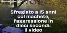 Sfregiato a 15 anni col machete, l'aggressione in dieci secondi: il video