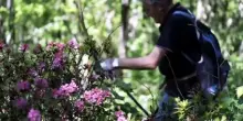 Quinta edizione dell'Operazione Paladini del Territorio