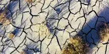 Venice Climate Week, Deloitte: crisi climatica mette a rischio il Pil