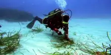 E.ON Italia rafforza il progetto Energy4Blue