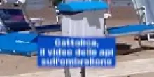 Cattolica, il video delle api sull'ombrellone