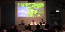 Simest: partnership con Rina per supportare pmi e filiere industriali