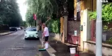 Maltempo: violenta grandinata con vento nel Milanese, caduta di alberi e cartelloni