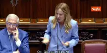 Meloni sbotta e risponde a Silvestri: Mai indossato ginocchiere, sono arrivata qui senza scorciatoie