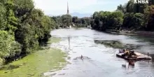 Torino, inizio dei lavori di pulizia delle alghe dal Po