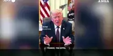 Trump paragona l'arena UFC sul prato della Casa Bianca alla Torre Eiffel