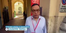 Tripoli (Unioncamere): imprese coesive in costante crescita