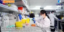 Cina, curata una malattia rara grazie a una nuova tecnologia di editing dell'RNA