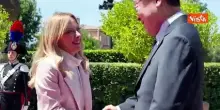 Meloni 'saluta' Briciola, il cane mascotte dei Carabinieri, durante incontro con premier coreano