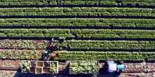 Agricoltura e crisi geopolitiche: uno scenario ridisegnato