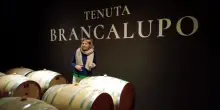 Chiara Lungarotti, l'amore per l'Umbria e l'impronta del lupo. Il Sagrantino? "Difficile da domare"