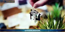 QuiEuropa Magazine - 20/6/2026