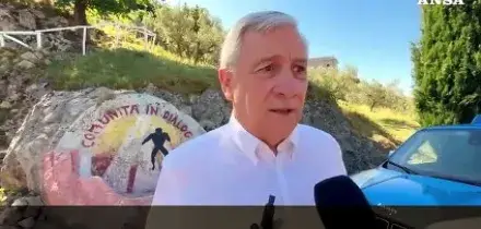 Tajani: "Trump incomprensibile, ma i rapporti con gli Usa sono solidi e andranno avanti"