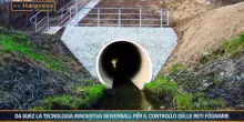 Tg Ambiente - 21/6/2026