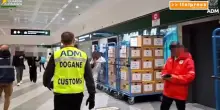 All'aeroporto di Malpensa sequestrati due teschi di coccodrillo