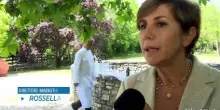 La filiera della pasta: tra ricerca, industria e tecnologia