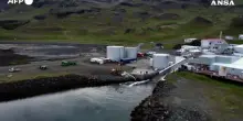 Uccise le prime balene in Islanda dal 2023, riprende la caccia commerciale