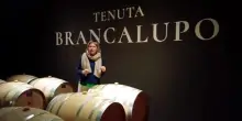 Chiara Lungarotti, l'Umbria e l'impronta del lupo: "Difficile da domare, come il Sagrantino"