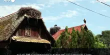 In Croazia, nel cuore del villaggio pi&ugrave; amato dalle cicogne