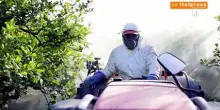 Pesticidi, ricercatori contro la semplificazione delle autorizzazioni