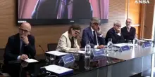 Assocarta, nel 2025 produzione carta cala del 2,2%, importazioni +7,5%