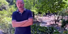 Al Parco Natura Viva sono nati 14 pulcini di fenicottero rosa