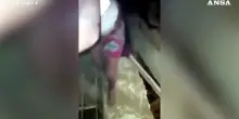 Terremoto in Venezuela, il miracolo dei tre fratellini estratti vivi