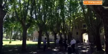 Riserva di Castelporziano, le torri Inwit monitorano qualit&agrave; dell'aria e incendi