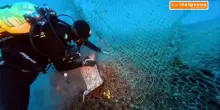 Isole Tremiti, i Carabinieri subacquei recuperano rete a strascico di 200 chili