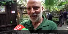 Caldo, al Bioparco di Roma ghiaccioli e piscine per aiutare gli animali
