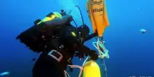 Alle Isole Tremiti recuperati oltre 200 chili di rete a strascico