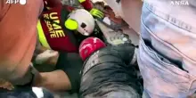 Estratto vivo dalle macerie un sopravvissuto al sisma in Venezuela