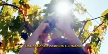Nasce la Nazionale vini italiana con Coldiretti a New York